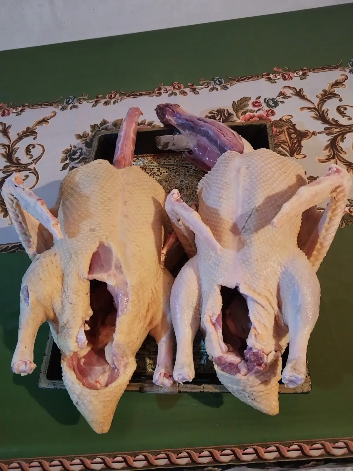 ÖRDƏK — Heyvanlar, Quşlar, Balıqlar, Lənkəran
