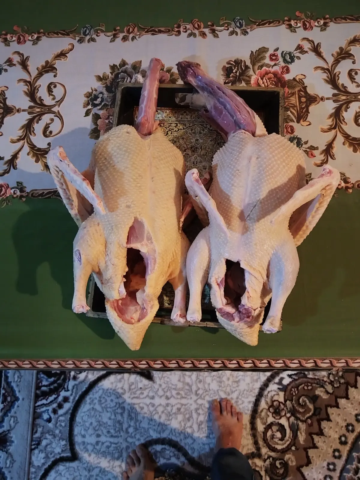 ÖRDƏK — Heyvanlar, Quşlar, Balıqlar, Lənkəran