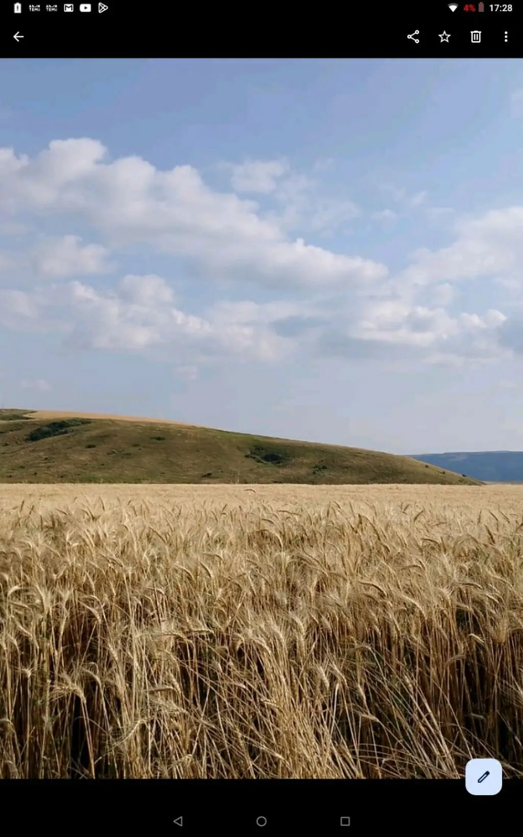 ARPA — Dənlilər, Otlar Yemlər,  Bitkilər, Şamaxı