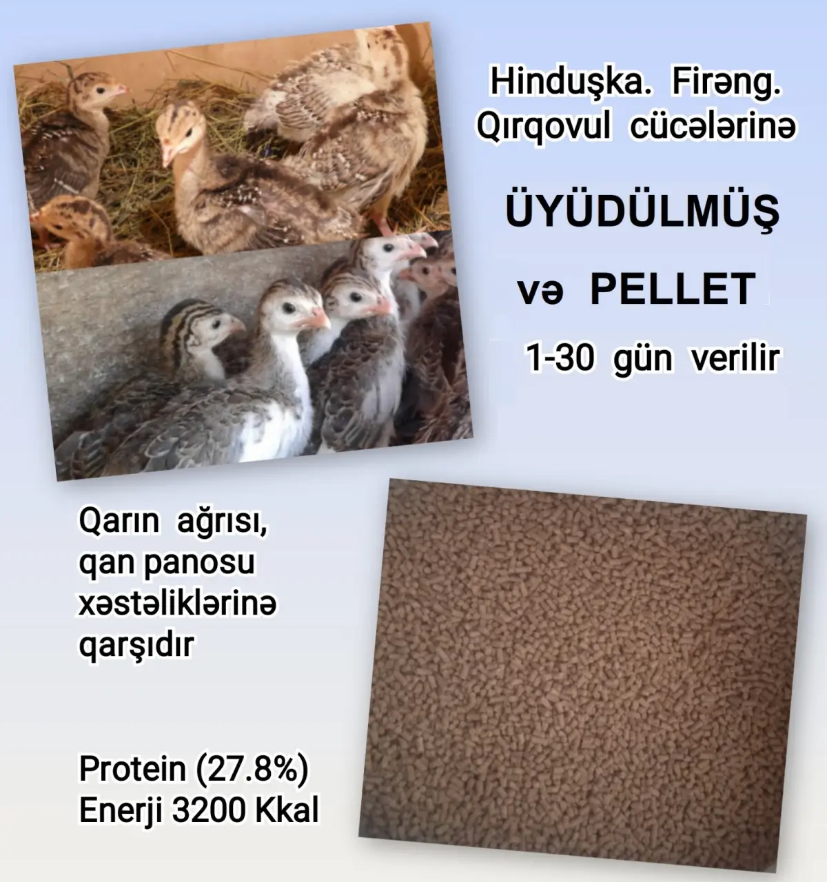 YEM — Dənlilər, Otlar Yemlər,  Bitkilər, Bakı