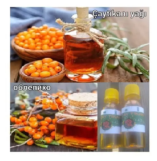 YAĞ — Emal Olunmuş K/t Məhsulları, Bakı