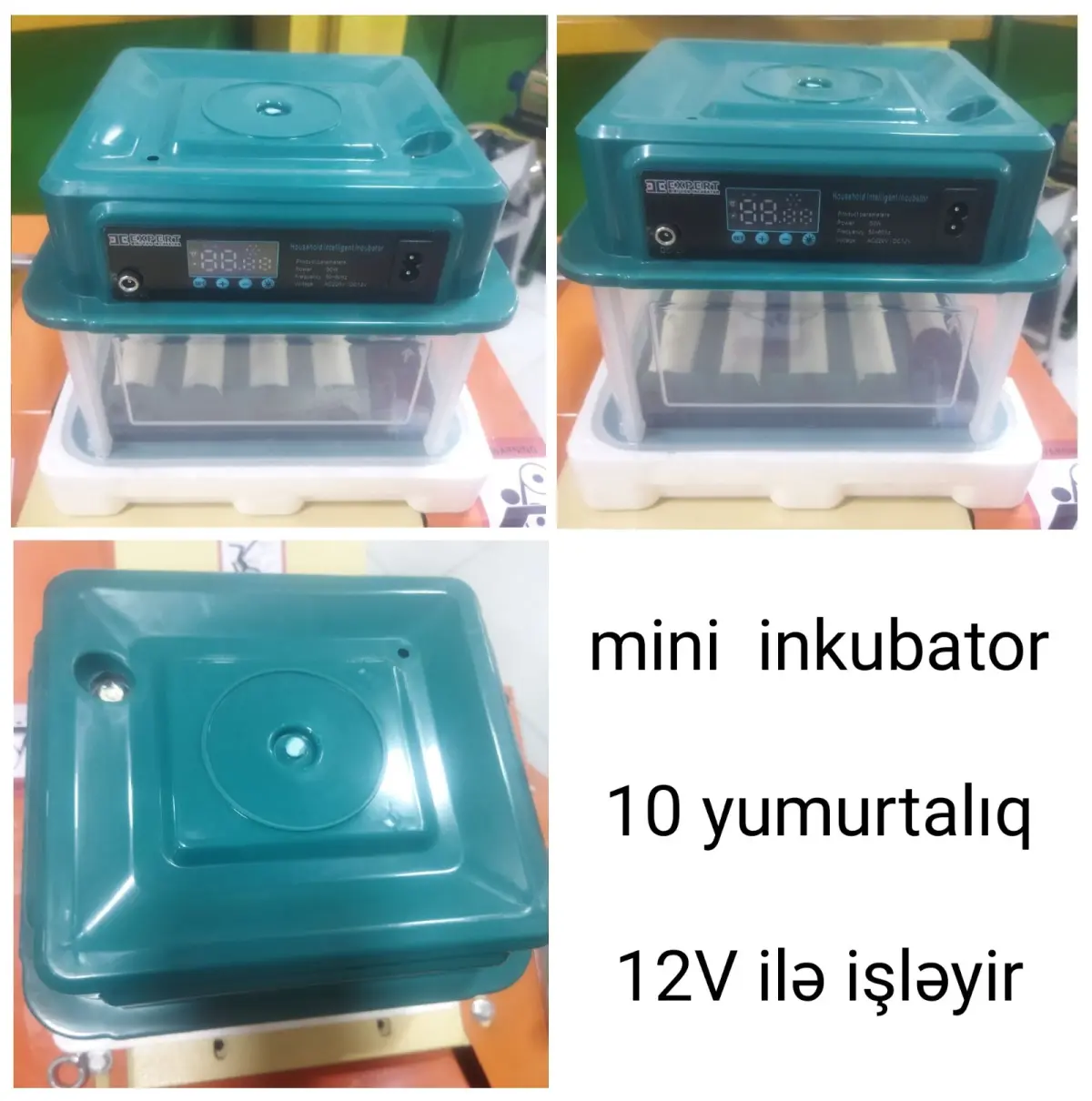 INKUBATOR — Heyvanlar, Quşlar, Balıqlar, Bakı