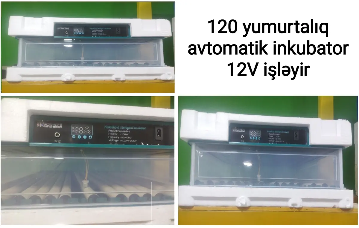 INKUBATOR — Heyvanlar, Quşlar, Balıqlar, Bakı