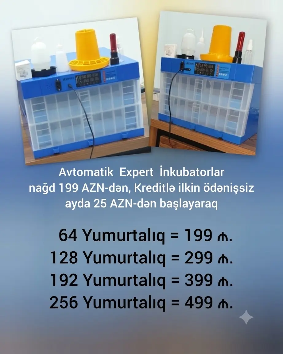 INKUBATOR — Heyvanlar, Quşlar, Balıqlar, Bakı