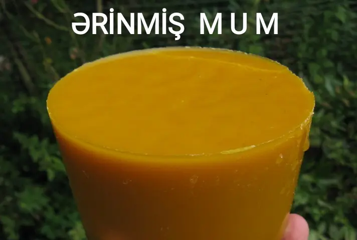 BAL — Emal Olunmuş K/t Məhsulları, Şabran