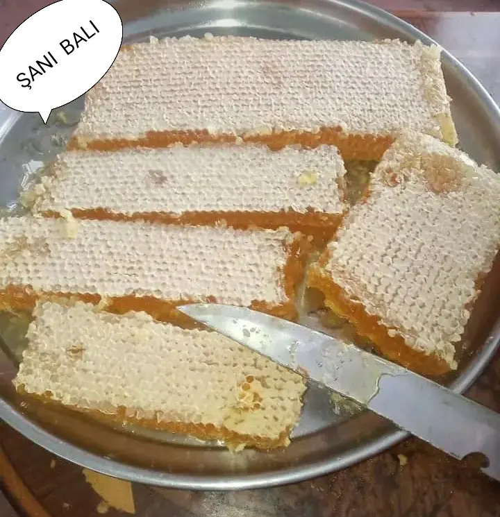 BAL — Emal Olunmuş K/t Məhsulları, Şabran
