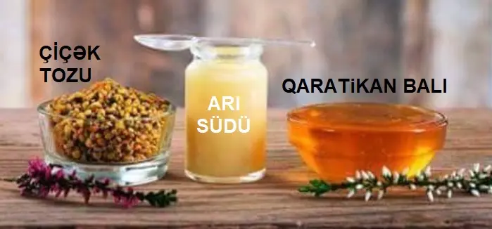 BAL — Emal Olunmuş K/t Məhsulları, Şabran