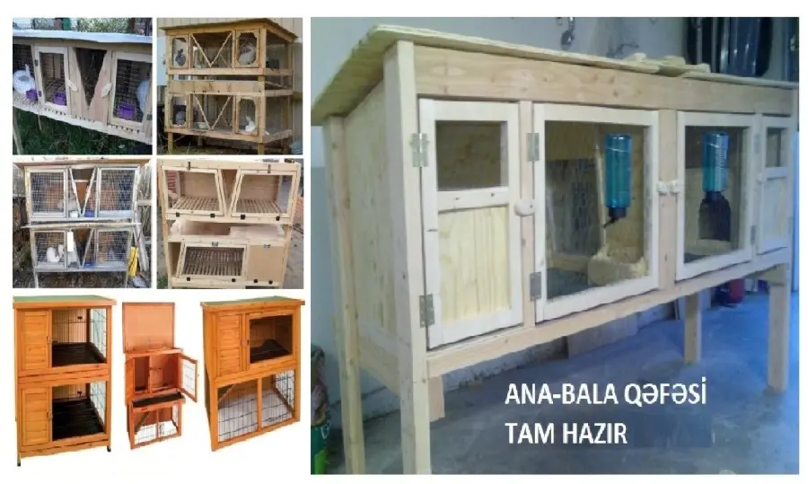 QƏFƏS — Kənd Təsərrüfatı Ləvazimatı, Bakı