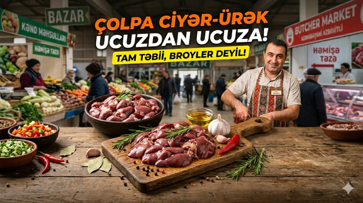 TOYUQ CİYƏRİ — Heyvanlar, Quşlar, Balıqlar, Bakı