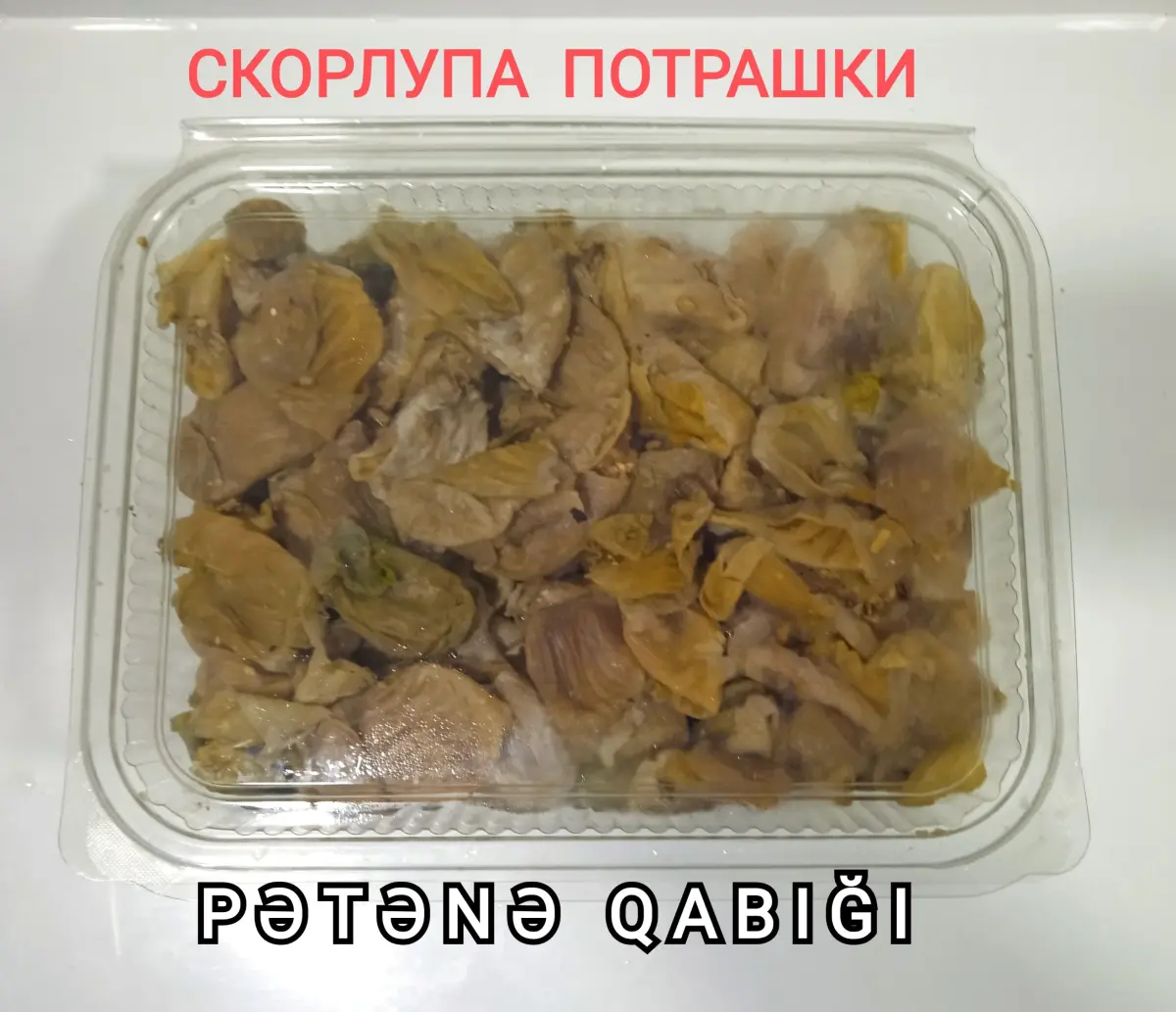 TOYUQ PƏTƏNƏSİ — Heyvanlar, Quşlar, Balıqlar, Bakı