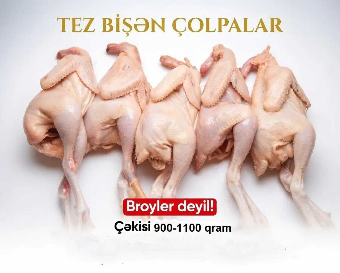 TOYUQ ƏTİ — Heyvanlar, Quşlar, Balıqlar, Bakı