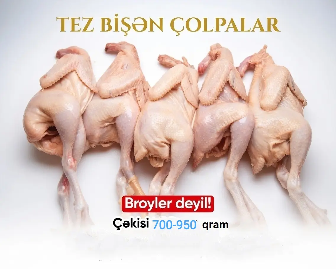 TOYUQ ƏTİ — Heyvanlar, Quşlar, Balıqlar, Bakı