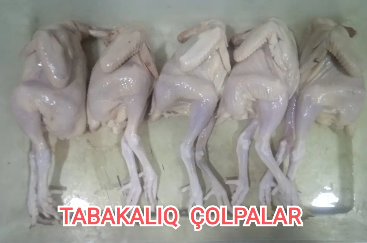 TOYUQ ƏTİ — Heyvanlar, Quşlar, Balıqlar, Bakı