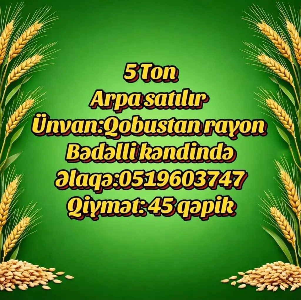 ARPA — Dənlilər, Otlar Yemlər,  Bitkilər, Qobustan