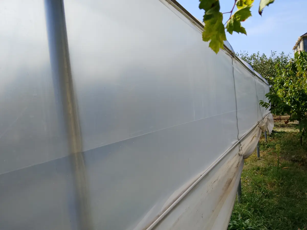 İstixana kompleksi — Agricultural Property, Ismayilli