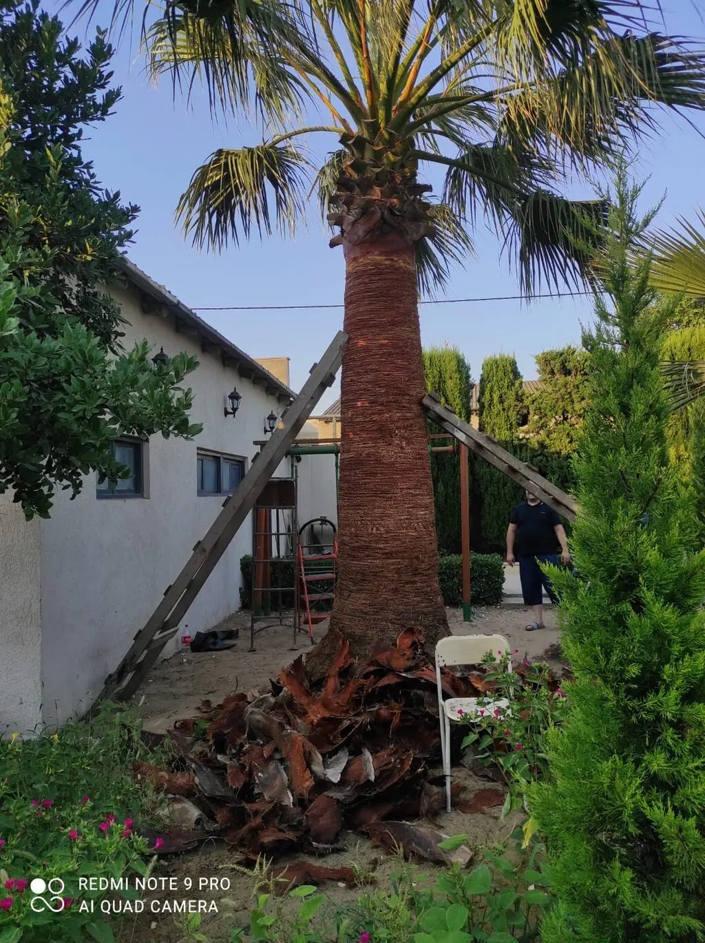 Bağban xidməti — Kənd/Təs Xidmətləri, Bakı