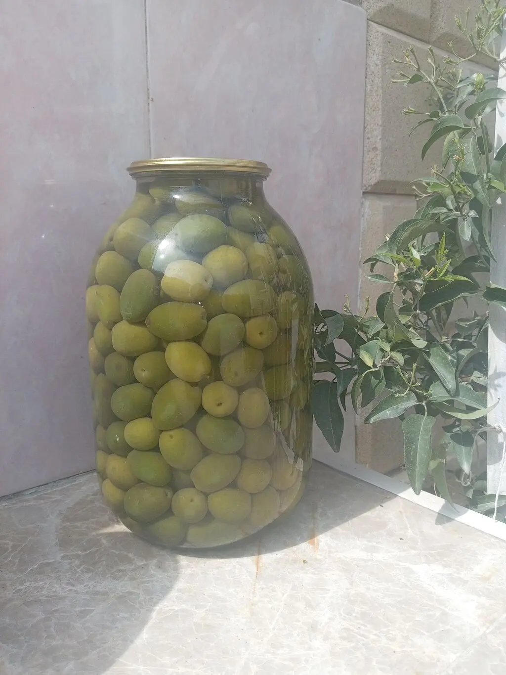 Zeytun turşusu — Emal Olunmuş K/t Məhsulları, Bakı