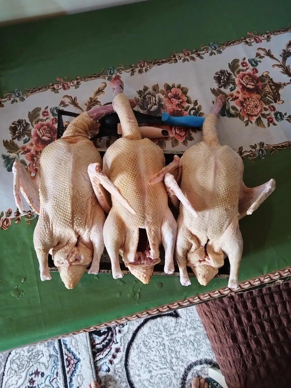 Ördək əti — Heyvanlar, Quşlar, Balıqlar, Lənkəran