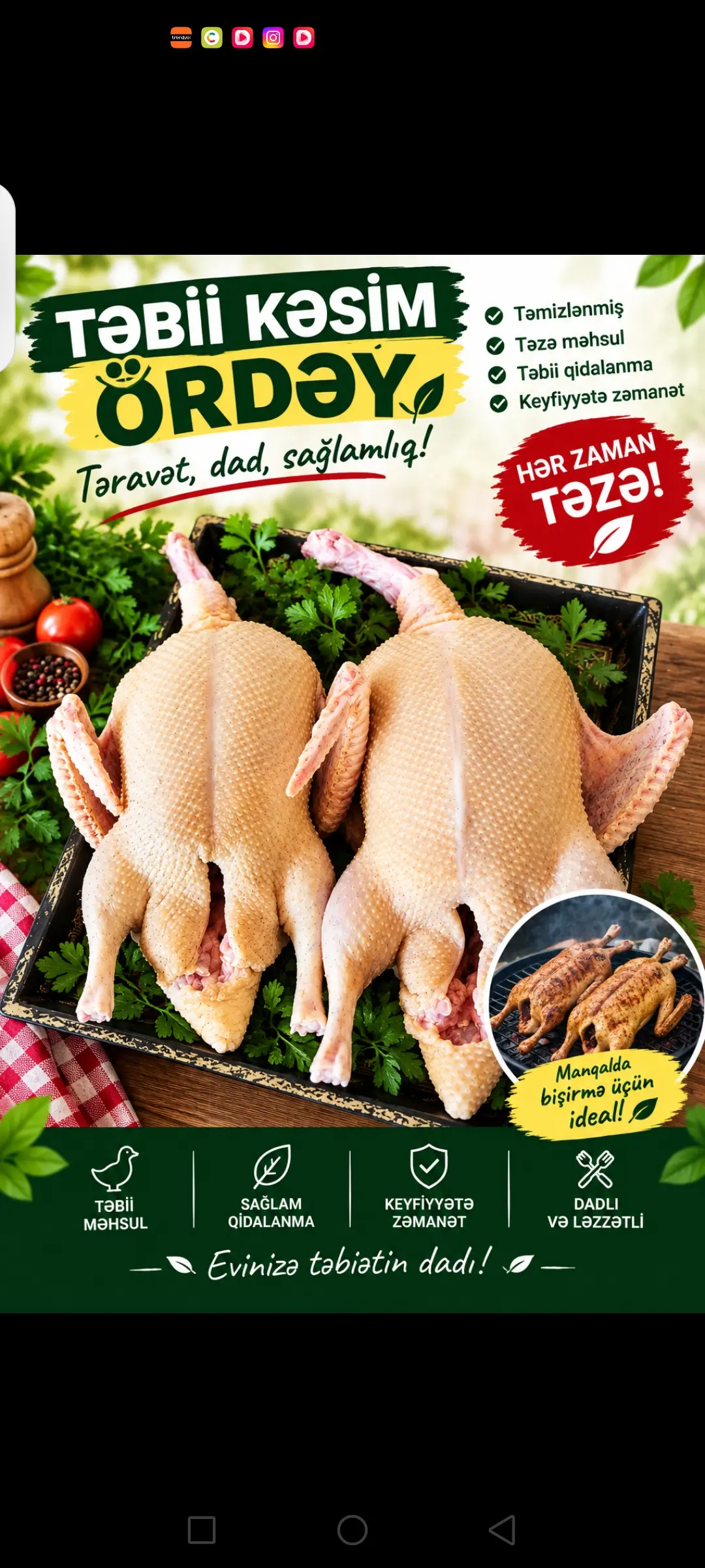 Ördək əti — Heyvanlar, Quşlar, Balıqlar, Lənkəran
