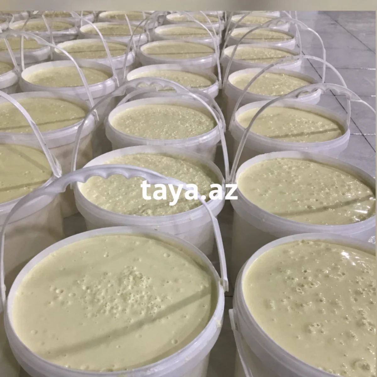 Qaymaq — Emal Olunmuş K/t Məhsulları, Bakı