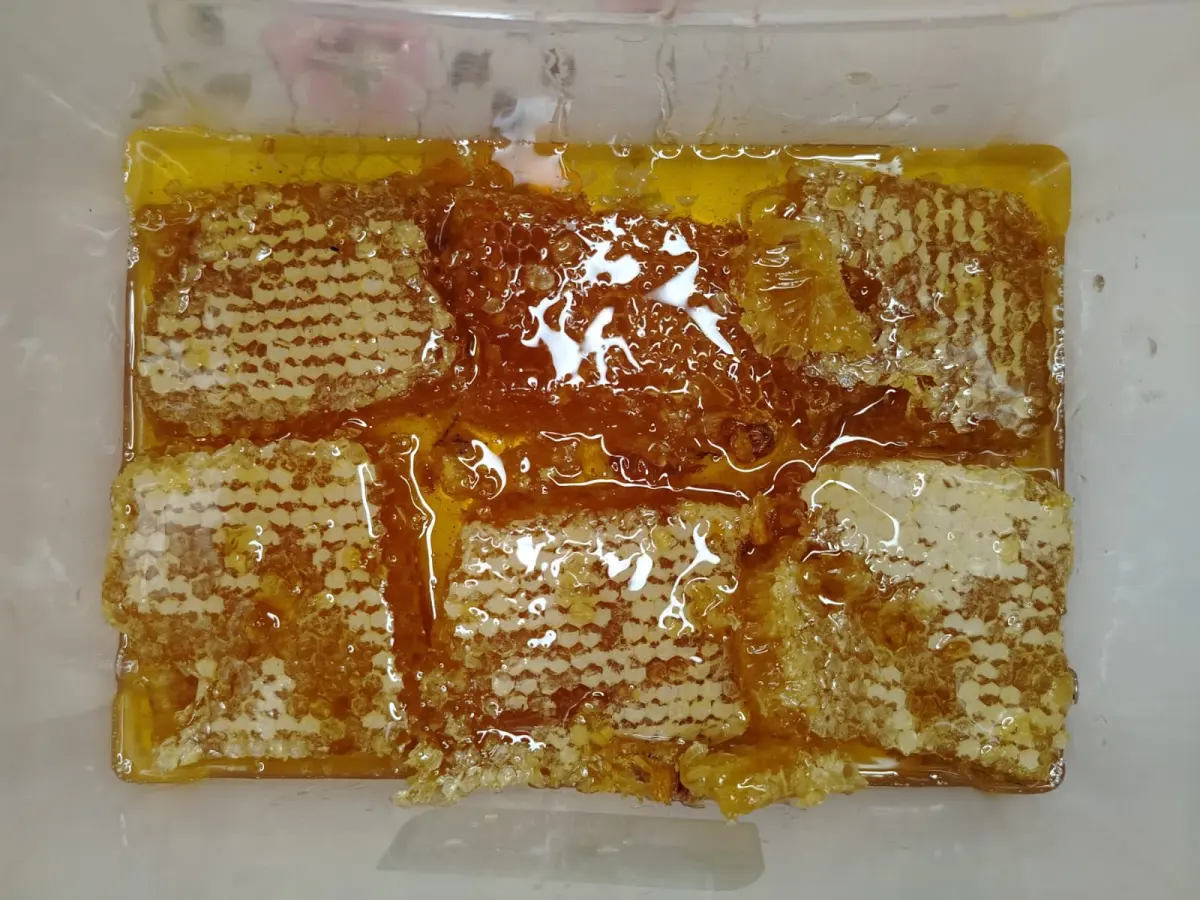 Honey — Processed Agricultural Products, Baku