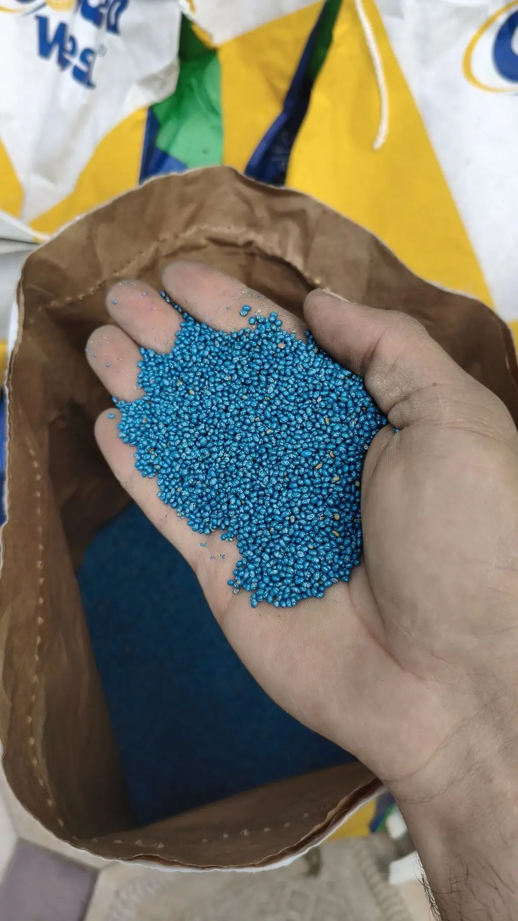 Yonca toxumu — Dənlilər, Otlar Yemlər,  Bitkilər, Bərdə