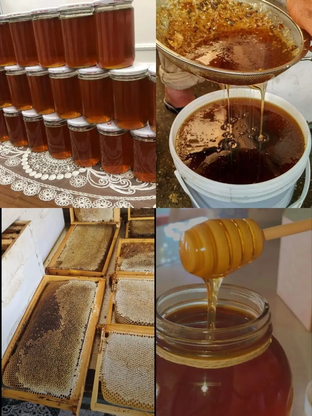 Bal — Emal Olunmuş K/t Məhsulları, Bakı
