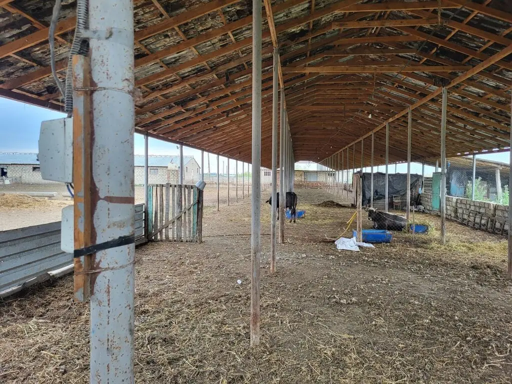 Ferma satılır — Kənd Təsərrüfatı Əmlakı, Göyçay