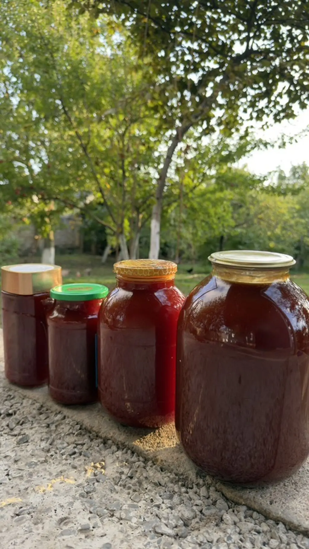 İtburnu doşabı — Emal Olunmuş K/t Məhsulları, Samux