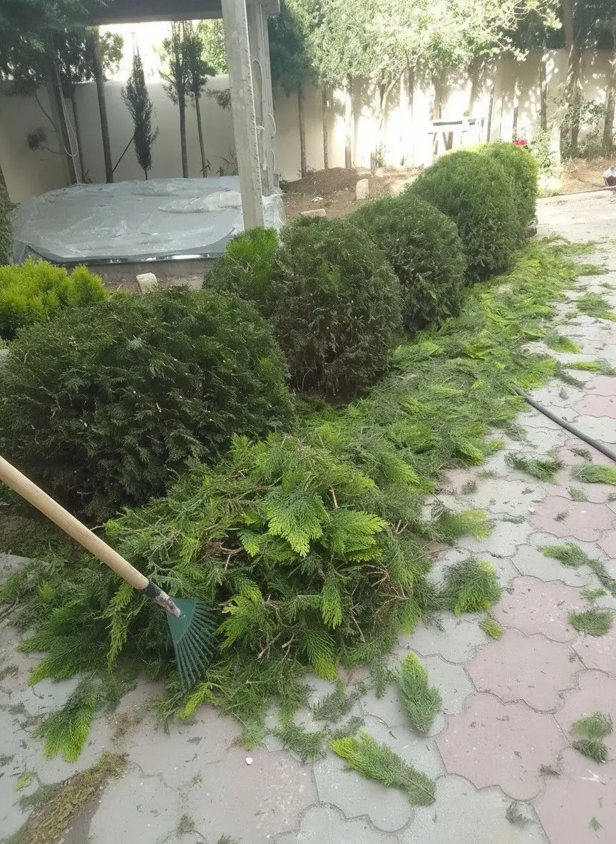Bağban xidməti — Kənd/Təs Xidmətləri, Bakı