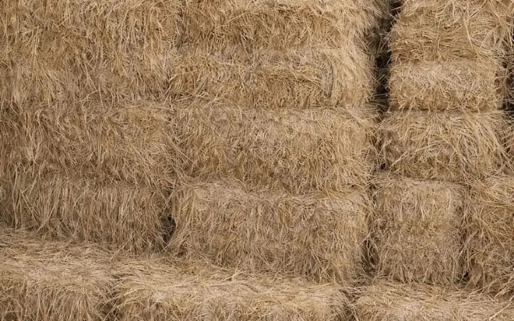 Alfalfa bales — Grains, Herbs, Feed, Plants, Sumgayit