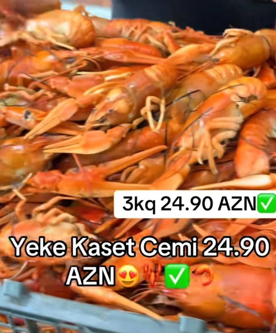 Krevetka — Heyvanlar, Quşlar, Balıqlar, Bakı