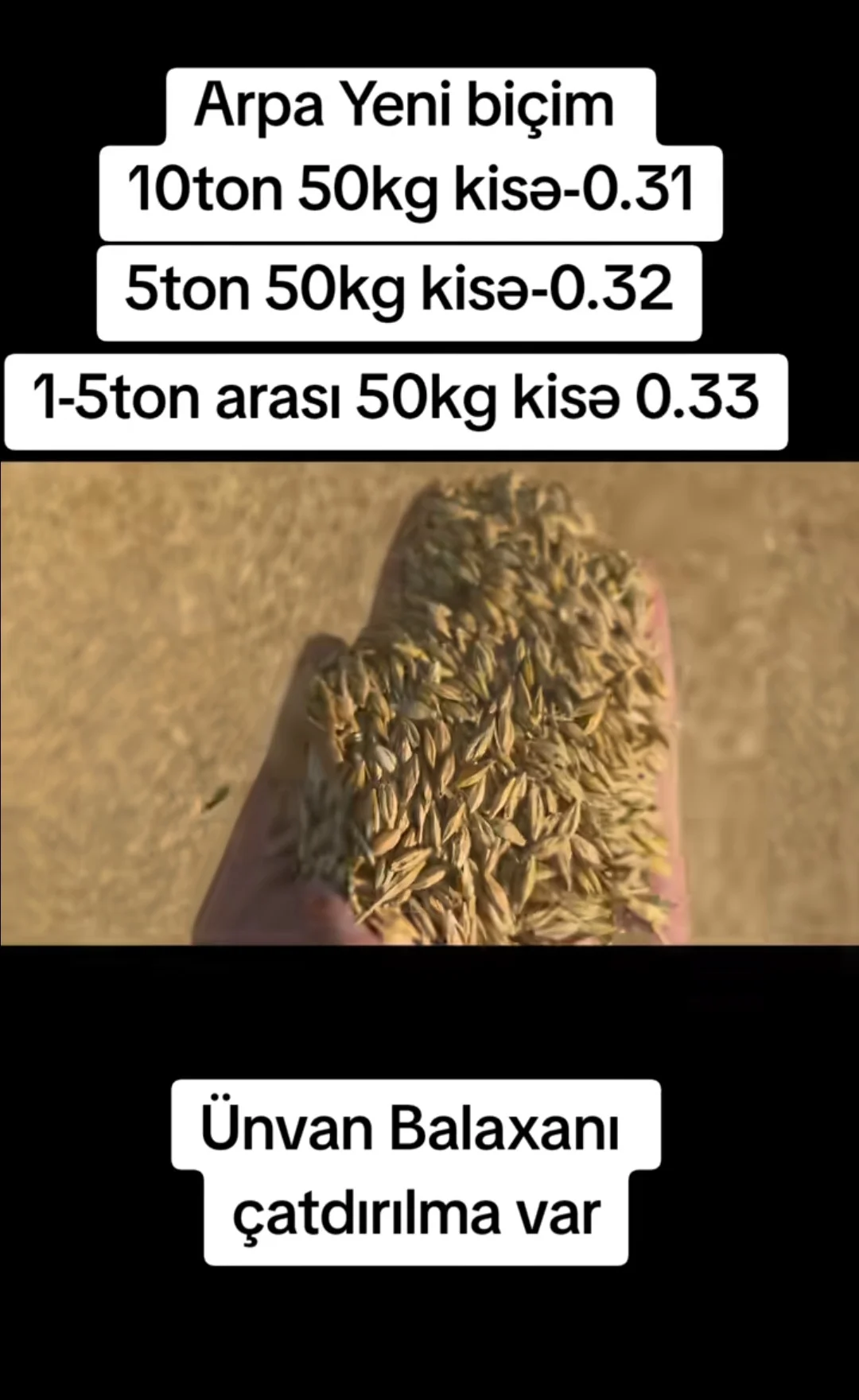 Arpa — Dənlilər, Otlar Yemlər,  Bitkilər, Bakı