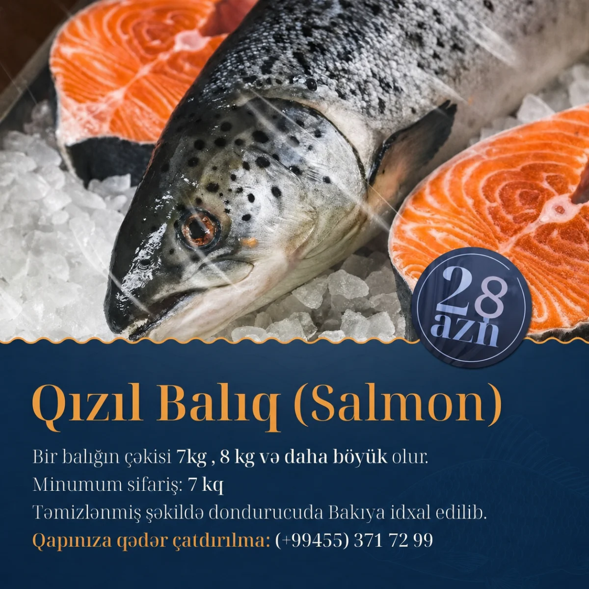 Balıq — Heyvanlar, Quşlar, Balıqlar, Bakı