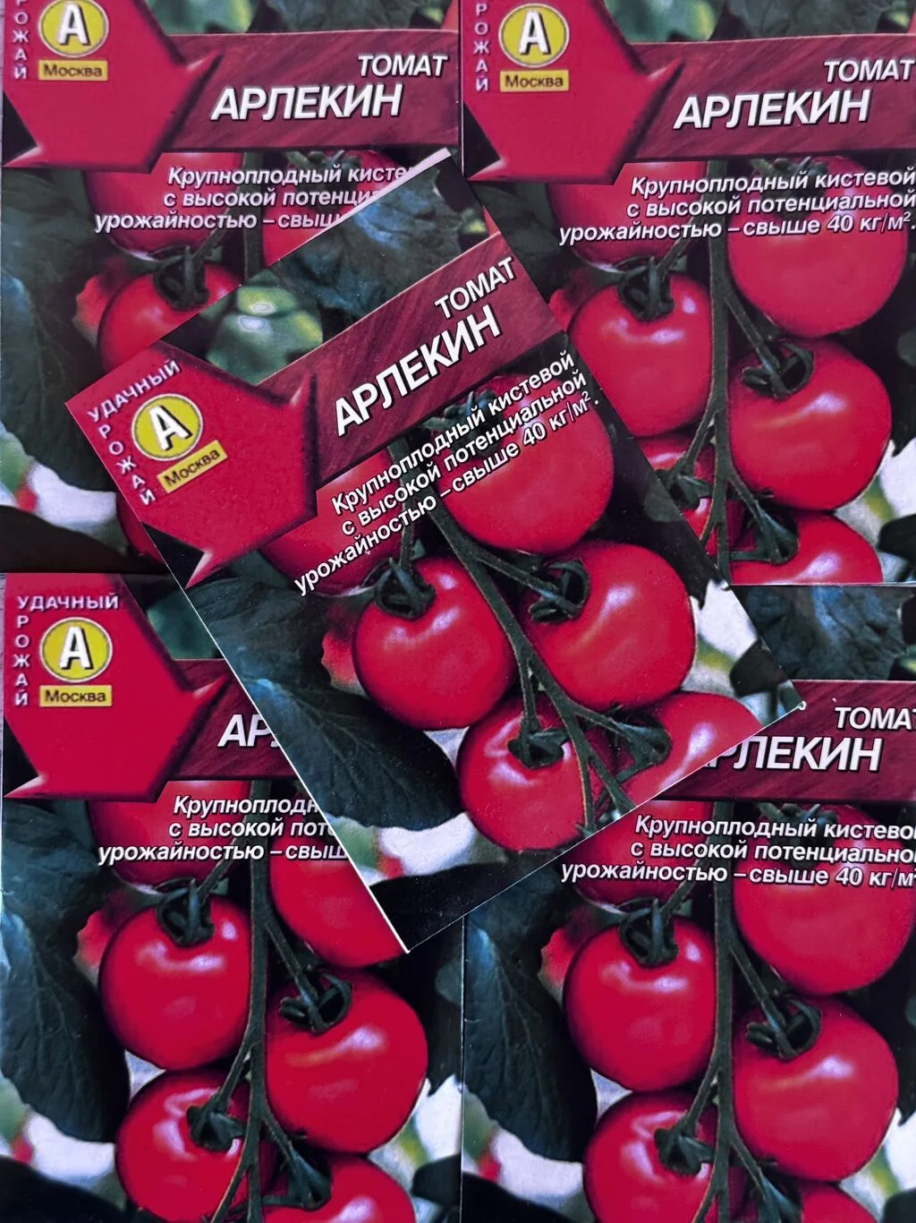 Toxum — Dənlilər, Otlar Yemlər,  Bitkilər, Bakı
