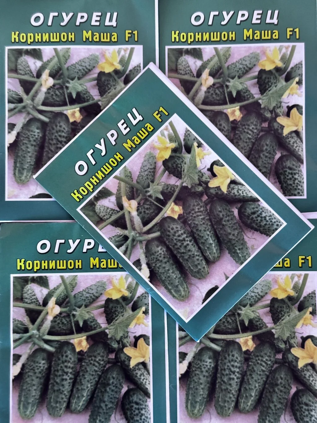 Toxum — Dənlilər, Otlar Yemlər,  Bitkilər, Bakı
