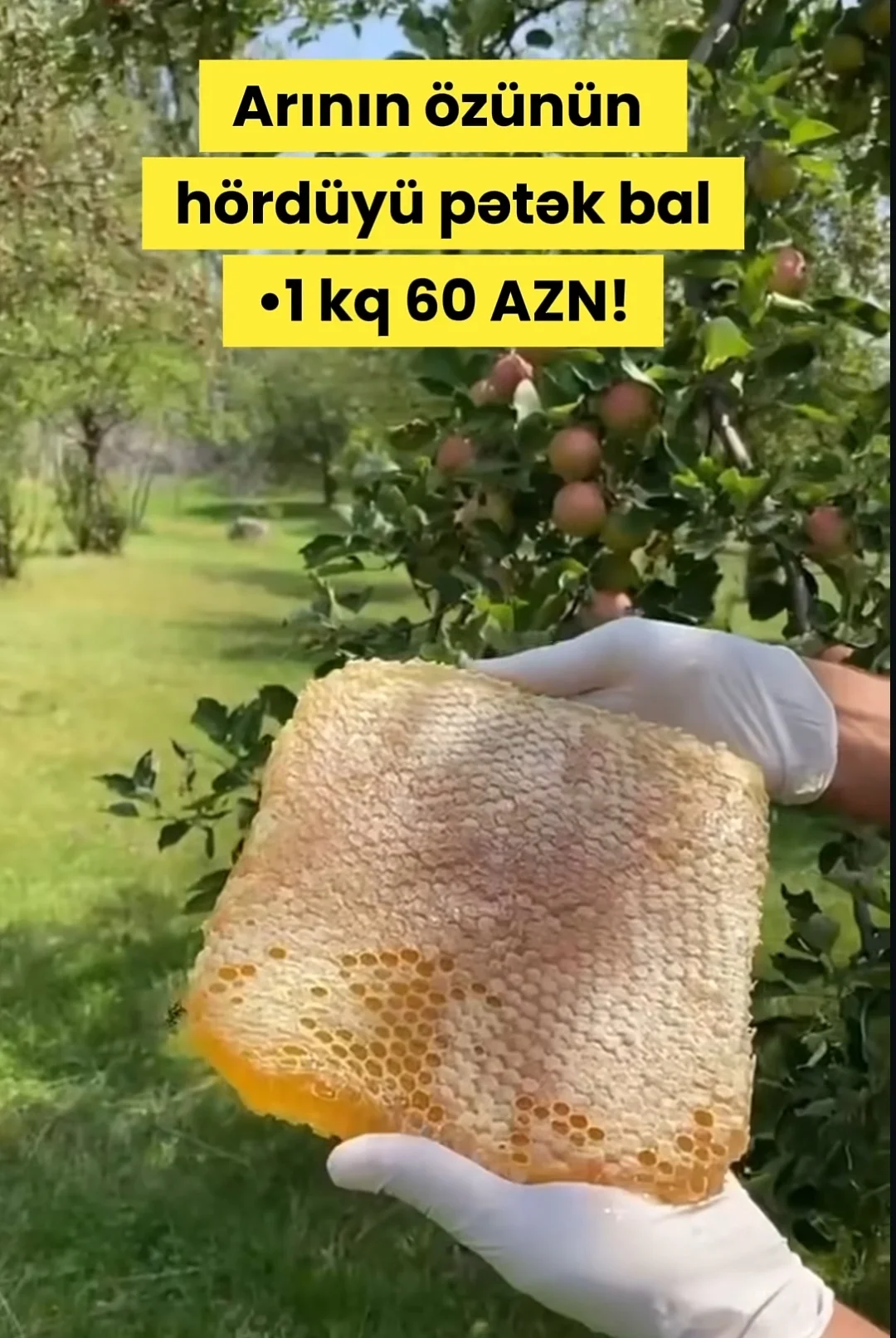 Bal — Emal Olunmuş K/t Məhsulları, Bakı