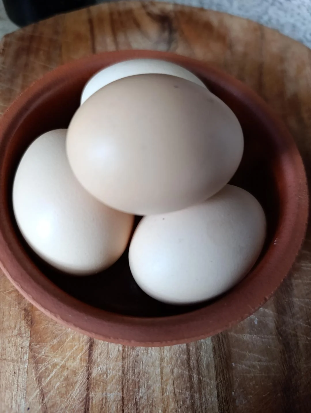 Yumurta — Heyvanlar, Quşlar, Balıqlar, Bakı