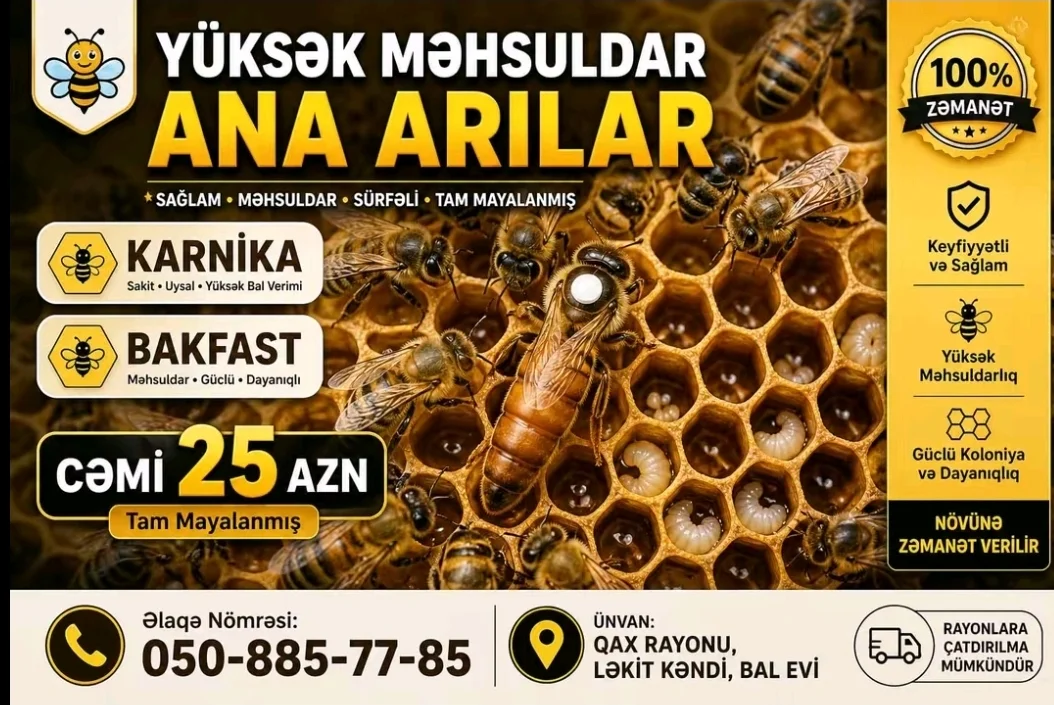 Ana arı — Heyvanlar, Quşlar, Balıqlar, Qax