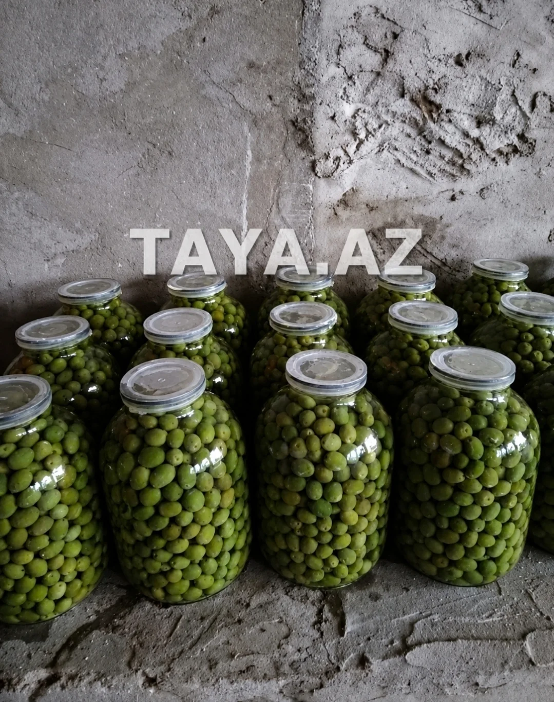 Zeytun turşusu — Emal Olunmuş K/t Məhsulları, Bakı