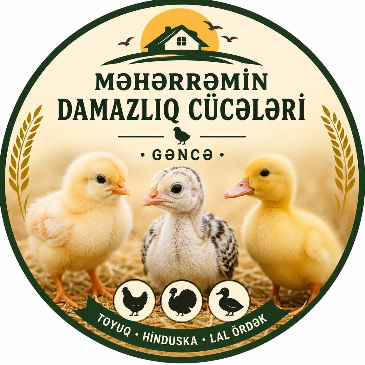 Premium Poultry