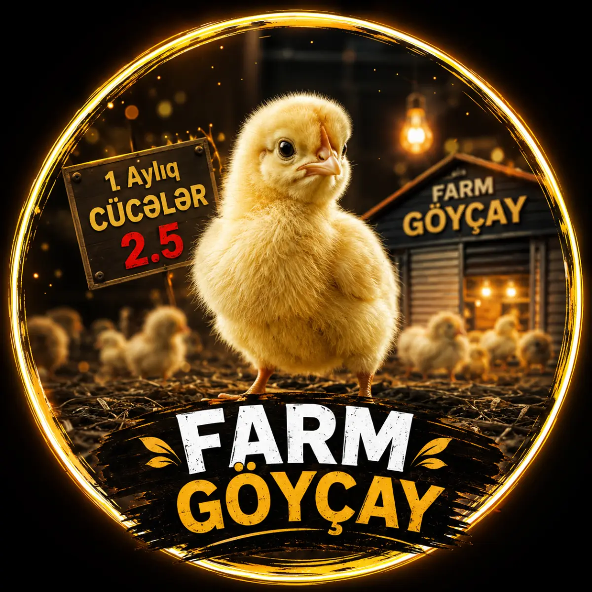 Farım Göyçay