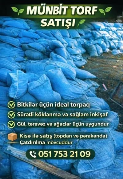Torf — Dənlilər, Otlar Yemlər,  Bitkilər, Bakı