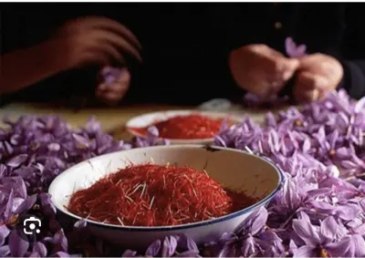 Zəfəran — Dənlilər, Otlar Yemlər,  Bitkilər, Göyçay