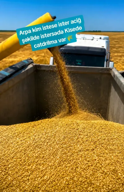 Arpa — Dənlilər, Otlar Yemlər,  Bitkilər, İmişli