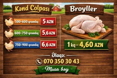 ÇOLPA — Heyvanlar, Quşlar, Balıqlar, Bakı