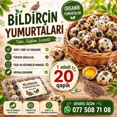 BiLDİRÇİN YUMURTASI — Heyvanlar, Quşlar, Balıqlar, Bakı