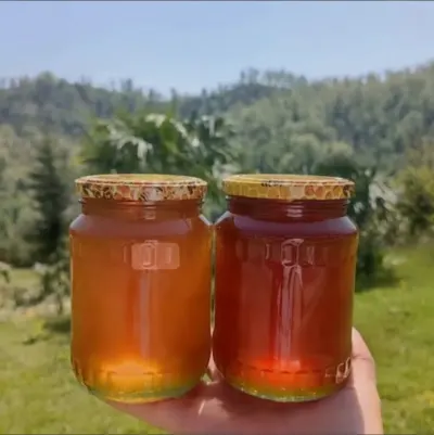 BAL — Emal Olunmuş K/t Məhsulları, Astara