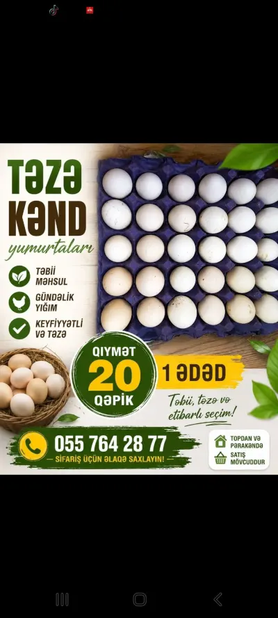YUMURTA — Heyvanlar, Quşlar, Balıqlar, Bakı