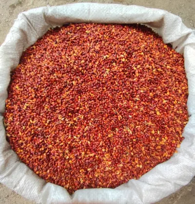 Broomcorn seeds — Grains, Herbs, Feed, Plants, Barda